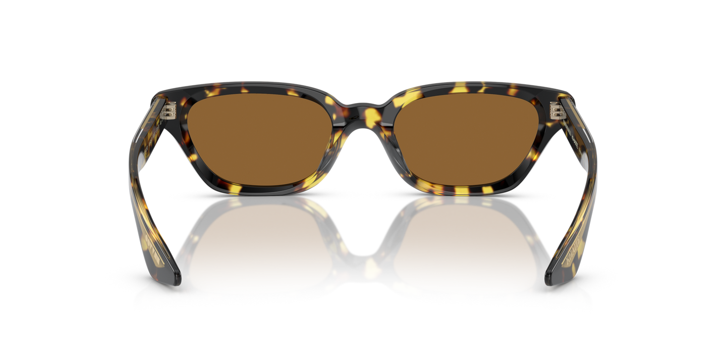 Oliver Peoples 1983C con montura Vintage DTB y lentes Marrón - Imagen Plaquetas nasales