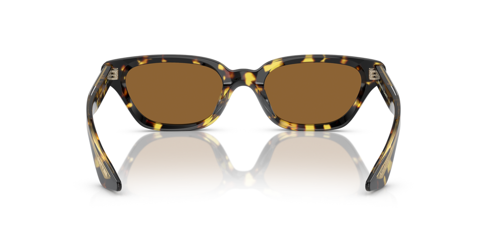 Oliver Peoples 1983C con montura Vintage DTB y lentes Marrón - imagen 5