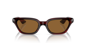 Oliver Peoples 1983C con montura Corteza rojo burdeos y lentes Marrón - El 2