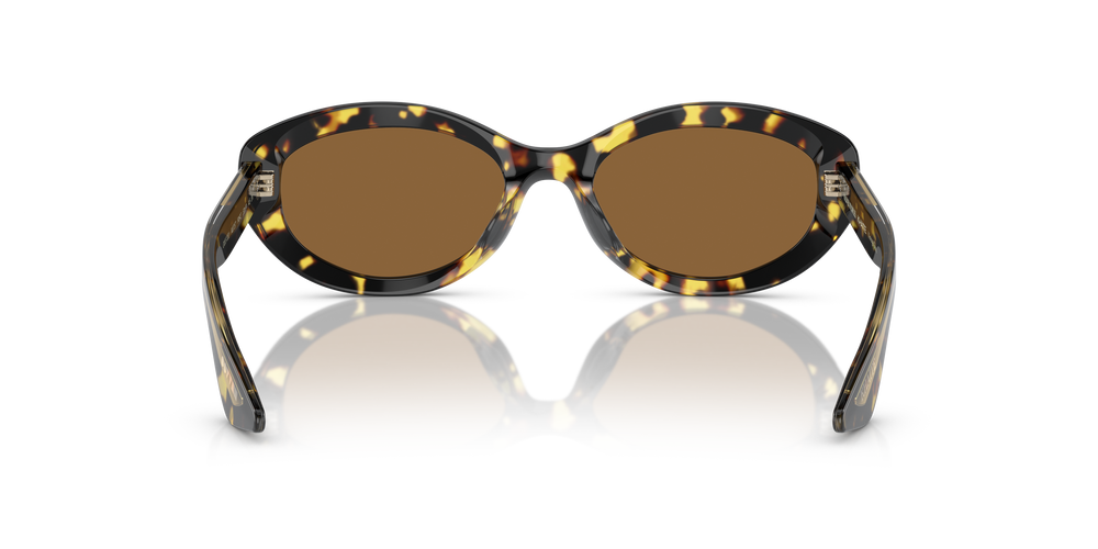 Sie Oliver Peoples 1969C mit Vintage DTB Gestell und Braun Gläsern - Das Bild 5