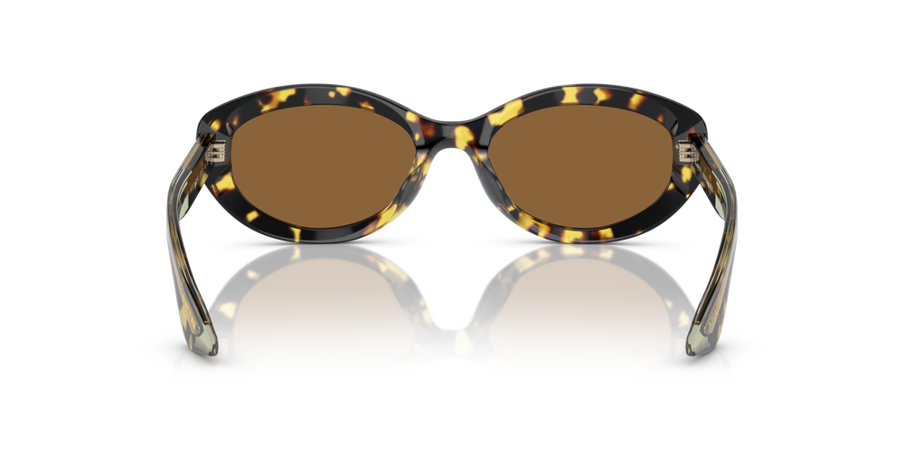 Oliver Peoples 1969C con montura Vintage DTB y lentes Marrón - imagen 5
