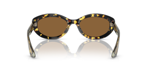 Oliver Peoples 1969C con montura Vintage DTB y lentes Marrón - imagen 5