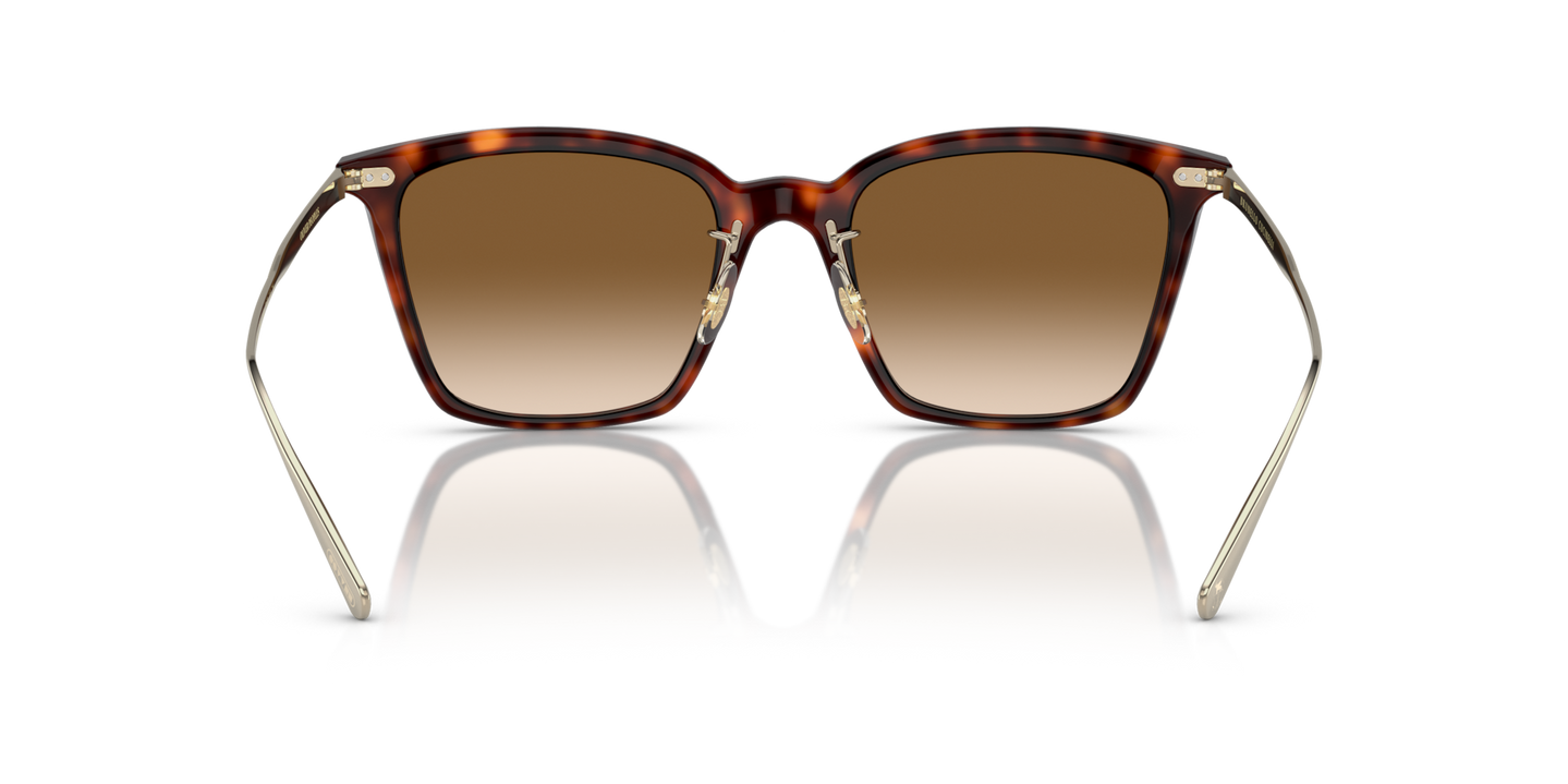 Oliver Peoples Luisella avec une monture Amaro Tortoise/Gold et des verres Brun - Image Plaquettes de nez