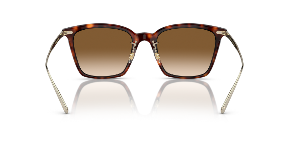 Oliver Peoples Luisella avec une monture Amaro Tortoise/Gold et des verres Brun - image 5