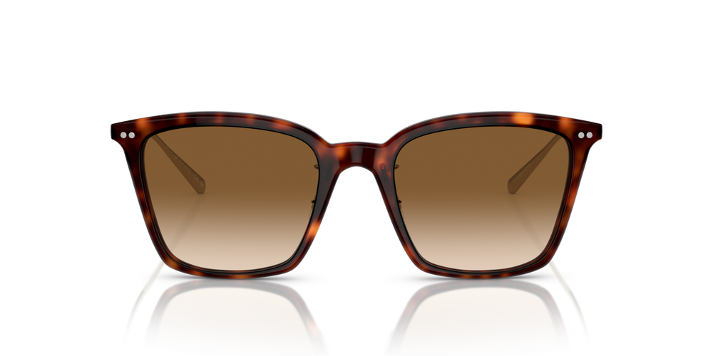 Oliver Peoples Luisella avec une monture Amaro Tortoise/Gold et des verres Brun - image 2