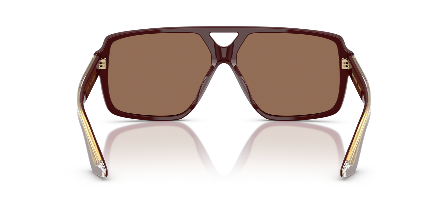 Oliver Peoples 1977C con montatura Bordeaux e lenti  Marrone - Immagine Naselli