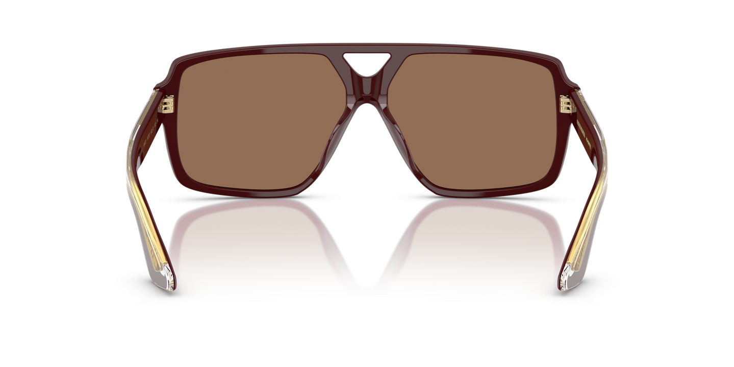 Oliver Peoples 1977C avec une monture Lie de vin et des verres Brun - Image Plaquettes de nez