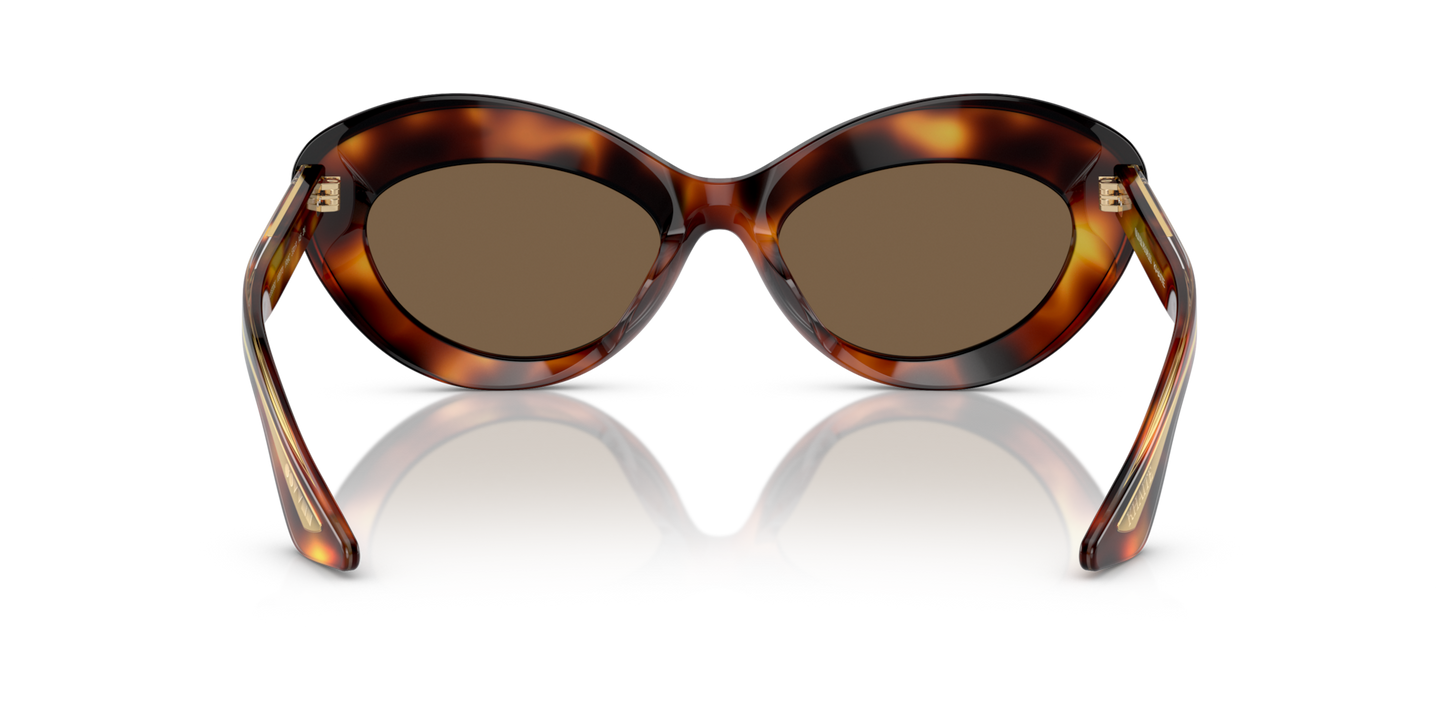 Oliver Peoples 1968C with Dark Mahogany frame and Brown lenses - Image Nosepads