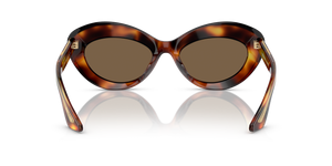 Oliver Peoples 1968C with Dark Mahogany frame and Brown lenses - image 5