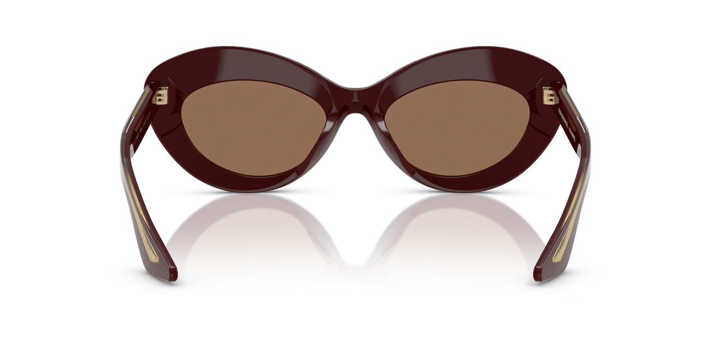 Oliver Peoples 1968C with Burgundy frame and Brown lenses - Image Nosepads