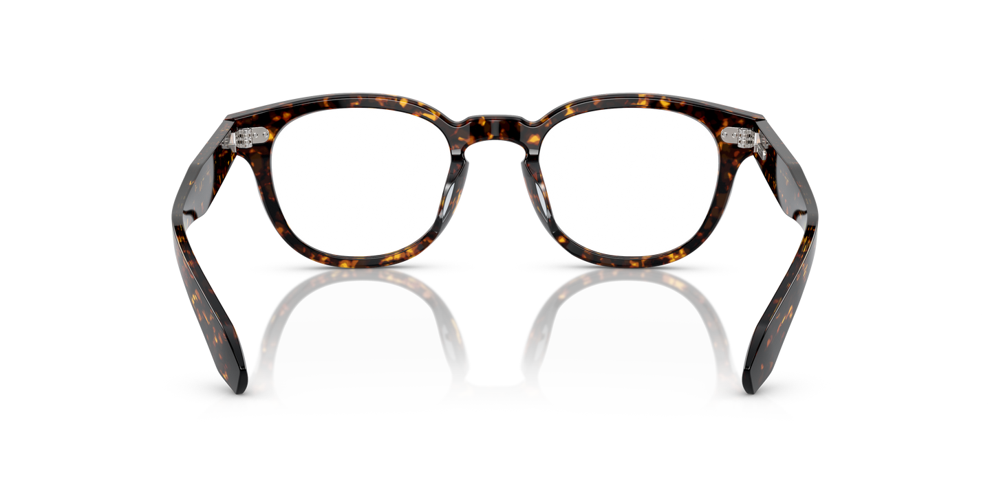 Oliver Peoples N.01 with Atago Tortoise frame | Oliver Peoples® ROW