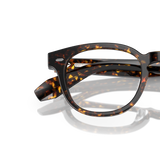 Oliver Peoples N.01 with Atago Tortoise frame - Variant