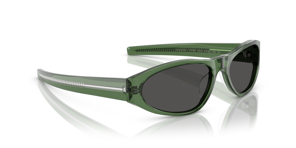 Oliver Peoples Fai III avec une monture Vert translucide et des verres Gris - L'image 3