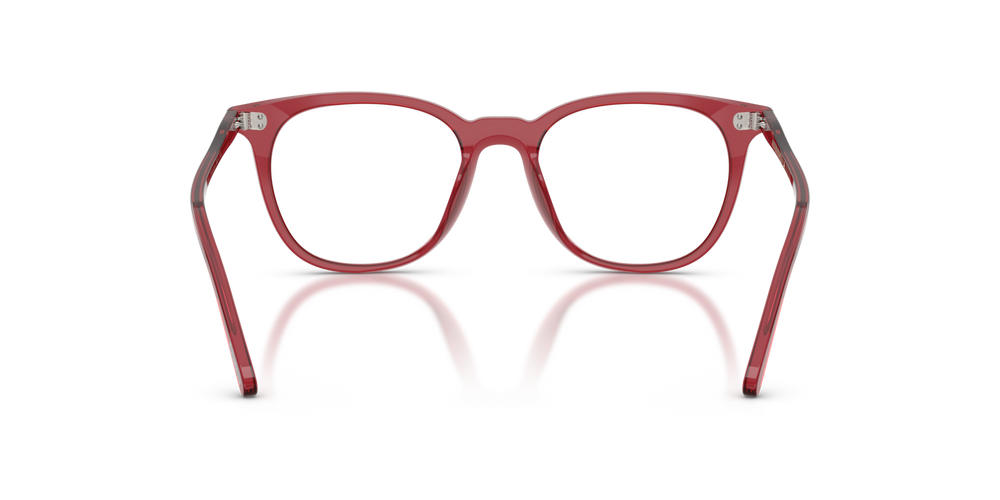 Oliver Peoples Josianne with Translucent Rust frame - image 5
