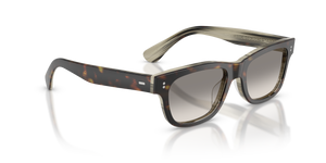 Oliver Peoples Rosson Sun Exclusive avec une monture 362/Corne et des verres Gris - L'image 3