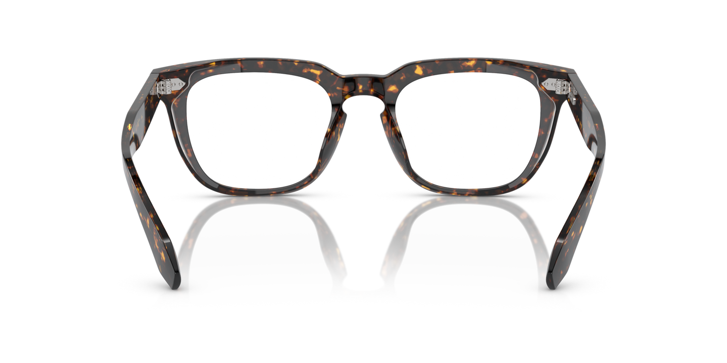 Oliver Peoples N.06 with Atago Tortoise frame - Image Nosepads