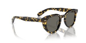 Oliver Peoples N.05 Sun con montatura Tokyo Tartarugato e lenti  Grigio - L'immagine 3