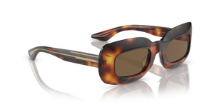 Sie Oliver Peoples 1966C mit Mahagoni dunkel Gestell und Braun Gläsern - Das Bild 3