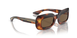 Oliver Peoples 1966C with Dark Mahogany frame and Brown lenses - image 3