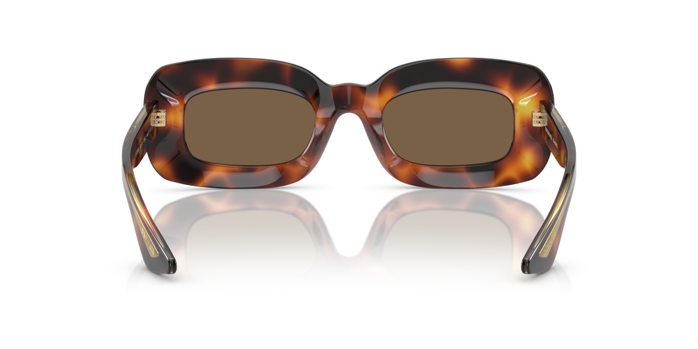 Oliver Peoples 1966C with Dark Mahogany frame and Brown lenses - image 5