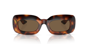 Sie Oliver Peoples 1966C mit Mahagoni dunkel Gestell und Braun Gläsern - Das Bild 2