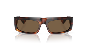 Oliver Peoples 1979C avec une monture Acajou foncé et des verres Brun - image 2