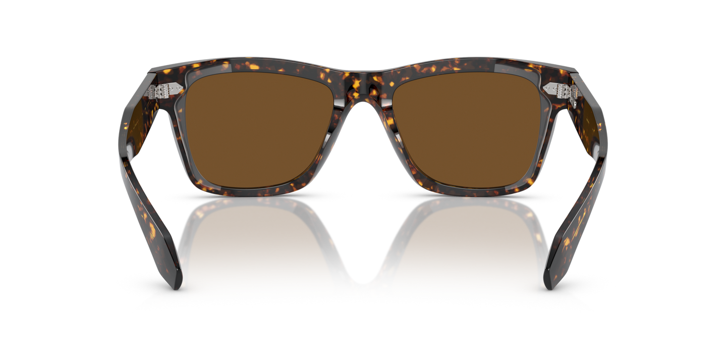 Oliver Peoples N.04 Sun with Atago Tortoise frame and Brown lenses - Image Nosepads