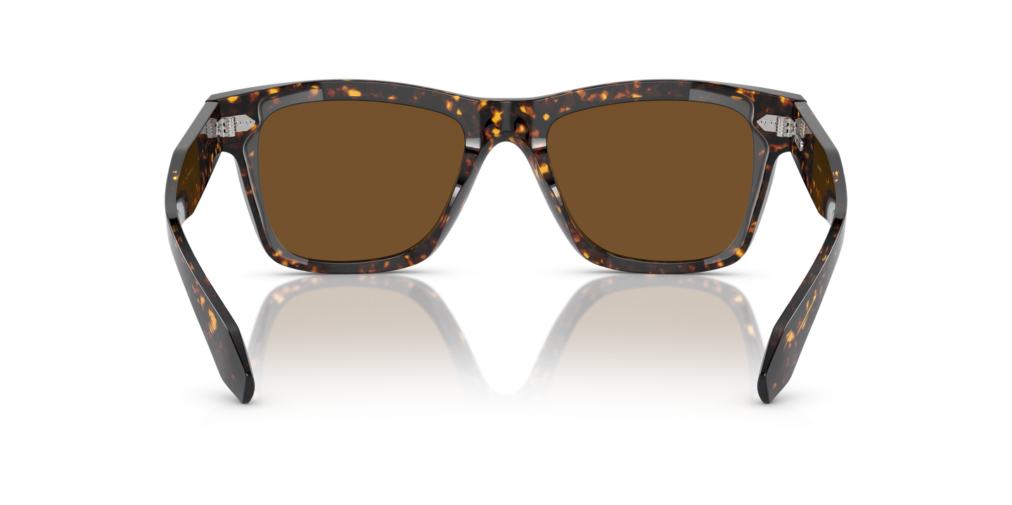 Oliver Peoples N.04 Sun with Atago Tortoise frame and True Brown