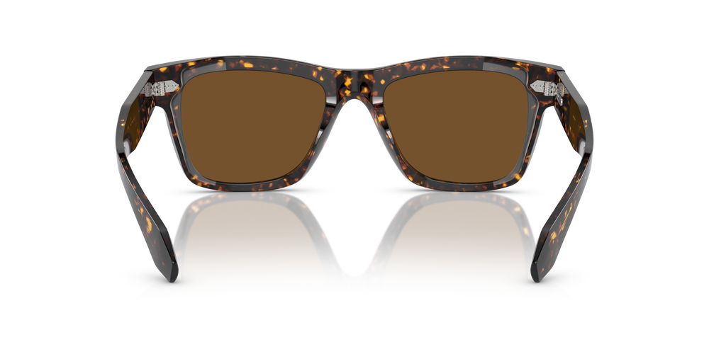 Oliver Peoples N.04 Sun with Atago Tortoise frame and True Brown