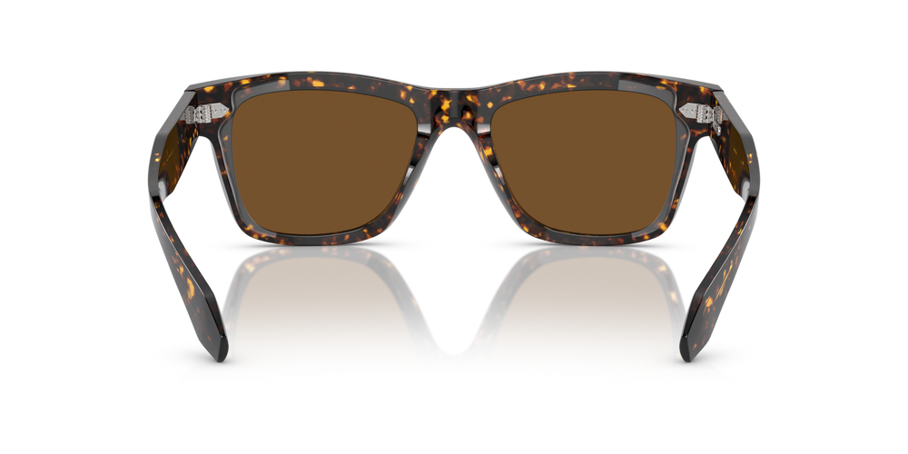 Sie Oliver Peoples N.04 Sun mit Atago Tortoise Gestell und Braun Gläsern - bild 5