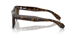 Oliver Peoples N.04 Sun with Atago Tortoise frame and Brown lenses - Image 4