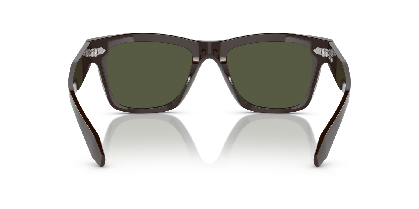 Oliver Peoples N.04 Sun avec une monture Brun Kuri et des verres Vert - Image Plaquettes de nez