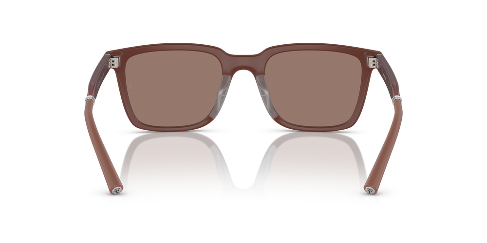 Sie Oliver Peoples Mr. Federer mit Semi-Matte Brick Gestell und Braun Gläsern - Das Bild 5