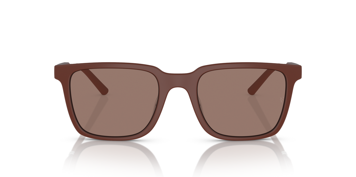 Sie Oliver Peoples Mr. Federer mit Semi-Matte Brick Gestell und Braun Gläsern - Bild Premium-Material