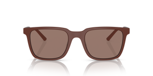Sie Oliver Peoples Mr. Federer mit Semi-Matte Brick Gestell und Braun Gläsern - Das Bild 2