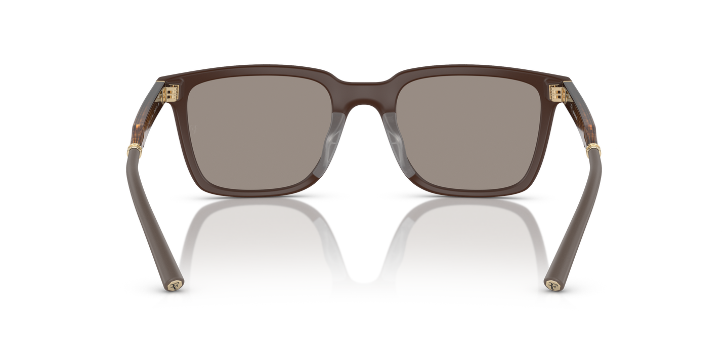 Sie Oliver Peoples Mr. Federer mit Umber Gestell und Gold Gläsern - Bild Stegplättchen