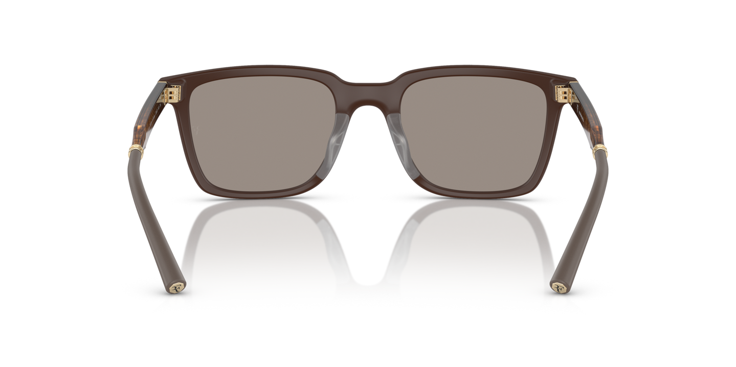 Sie Oliver Peoples Mr. Federer mit Umber Gestell und Gold Gläsern - Bild Stegplättchen