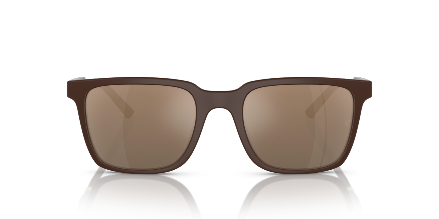 Sie Oliver Peoples Mr. Federer mit Umber Gestell und Gold Gläsern - Bild Premium-Material