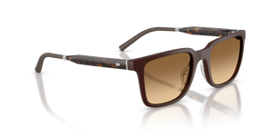 Oliver Peoples Mr. Federer with Semi-Matte Dark Brown frame and Brown lenses - Image 3