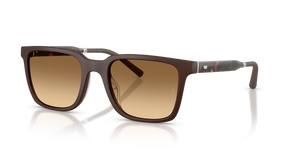 Oliver Peoples Mr. Federer with Semi-Matte Dark Brown frame and Brown lenses - Image 1