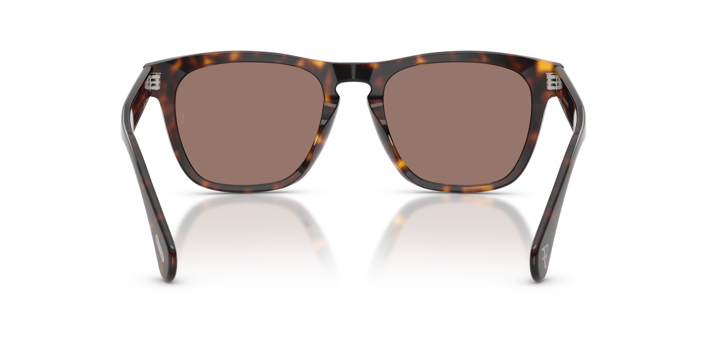 Oliver Peoples R-3 with 362 frame and Brown lenses - Image Nosepads