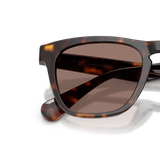 Oliver Peoples R-3 with 362 frame and Brown lenses - Variant
