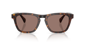 Sie Oliver Peoples R-3 mit 362 Gestell und Braun Gläsern - Das Bild 2