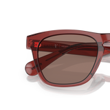 Oliver Peoples R-3 with Brick frame and Brown lenses - Variant