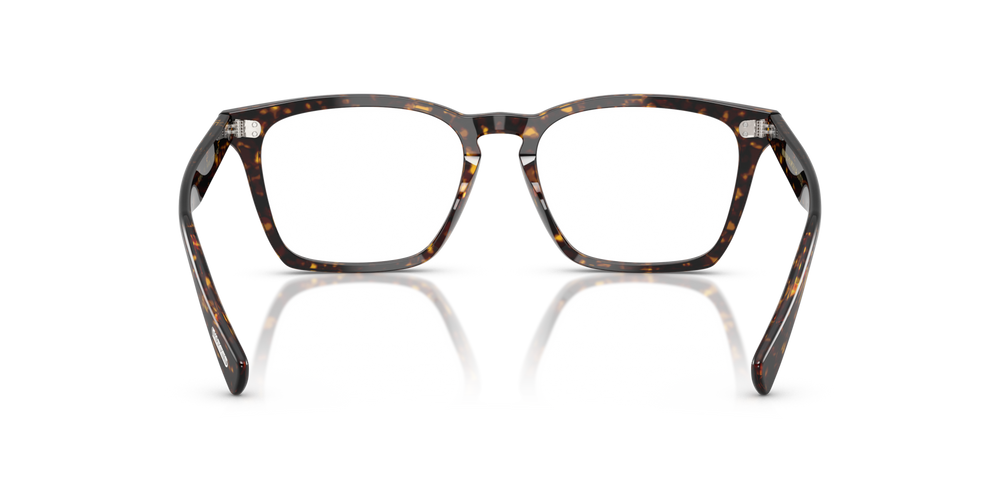 Oliver Peoples Rafkin mit Atago Tortoise Gestell - bild 5