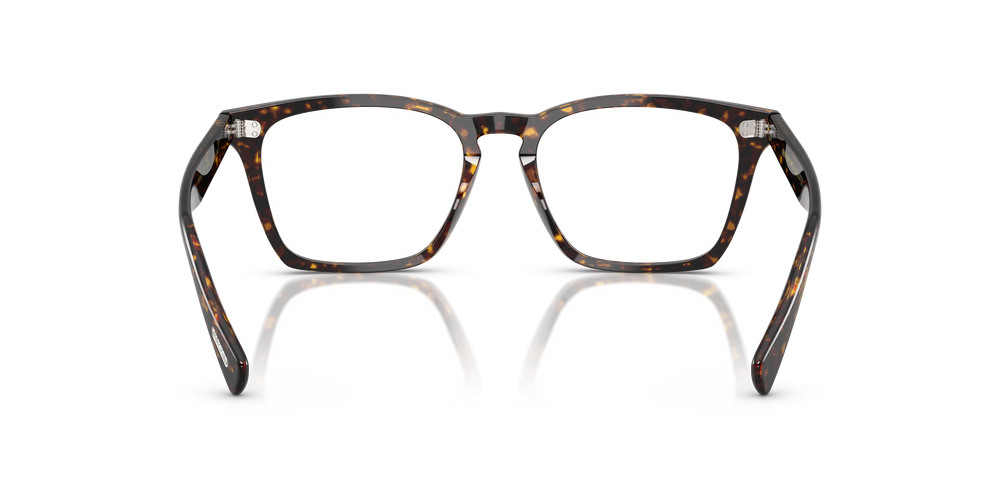 Oliver Peoples Rafkin con montura Carey Atago - El 5