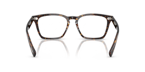 Oliver Peoples Rafkin con montura Carey Atago - El 5