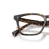 Oliver Peoples Rafkin with Atago Tortoise frame - Variant
