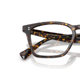 Oliver Peoples Rafkin with Atago Tortoise frame - Variant