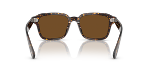 Sie Oliver Peoples Errisson Sun mit Atago Tortoise Gestell und Braun Gläsern - Das Bild 5